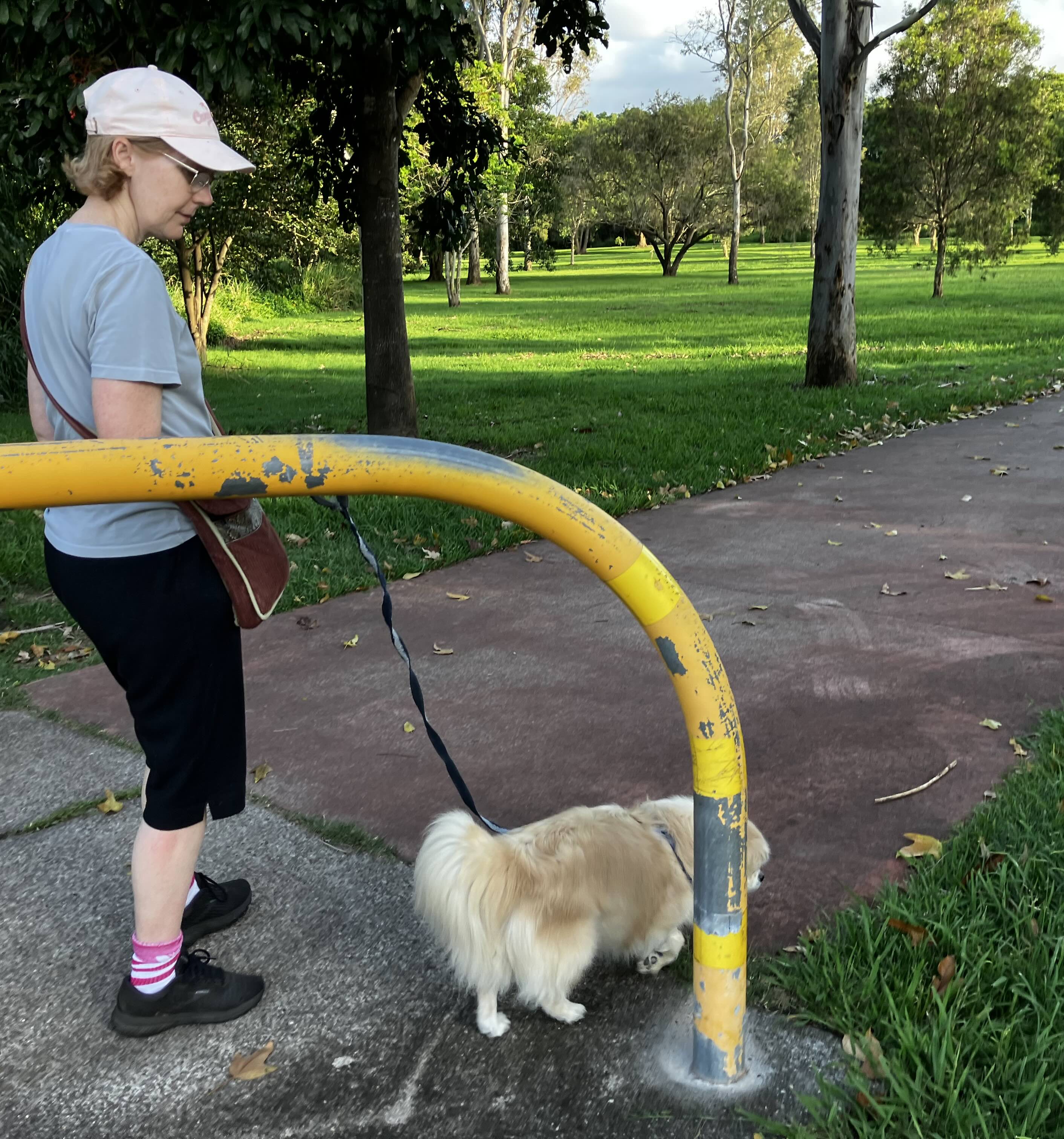 A walk in the park